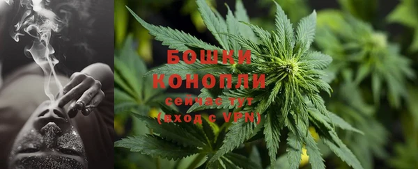 гидра Белоозёрский