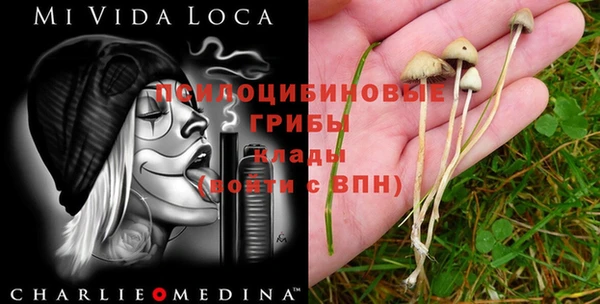 гидра Алексин