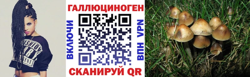 Купить где  Волжск  Галлюциногенные грибы ЛСД 